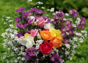 fresh picked flowers